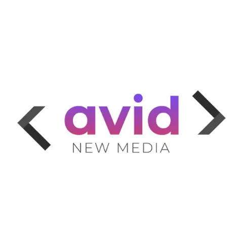 website development Avid New Media